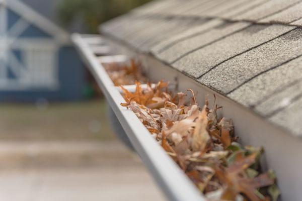 Leaf Barrier Installation in Stow